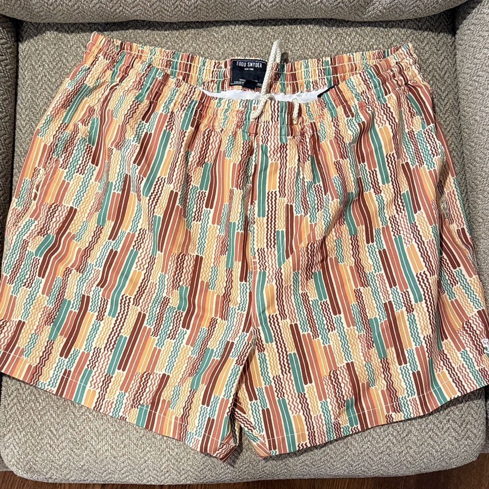 Todd Snyder Multicolor Striped Swim Shorts